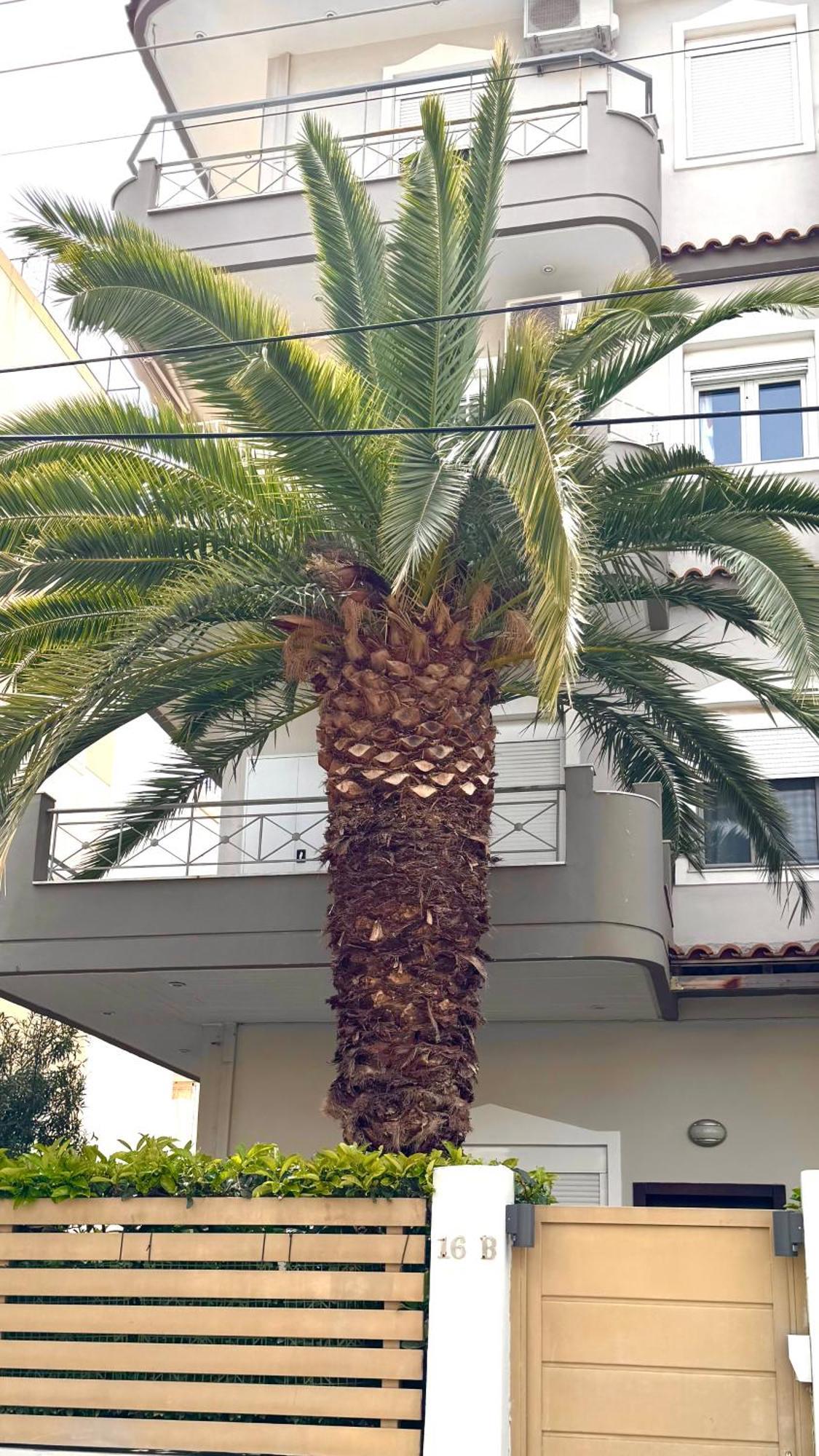 Elegant Glyfada Apartment-Private Garden-Near Metro 雅典 外观 照片